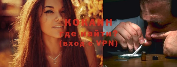 ешки Пересвет