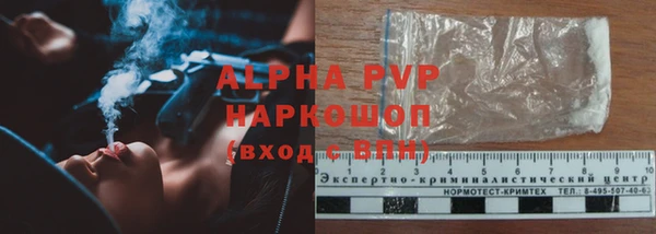 PSILOCYBIN Пестово