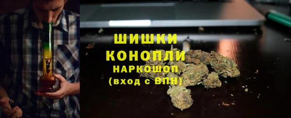 ешки Пересвет