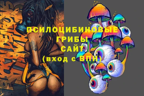 ешки Пересвет