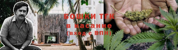 ешки Пересвет