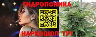 мдпв Аргун