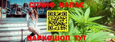 Альфа ПВП Бийск