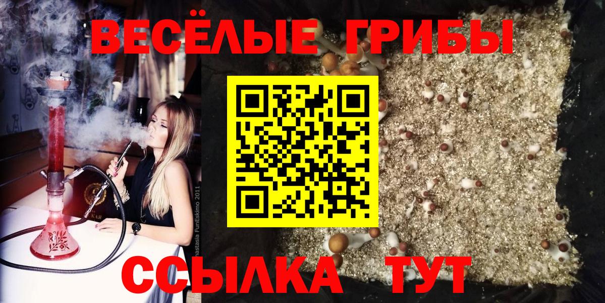 Псилоцибиновые грибы Psilocybine cubensis Богородск